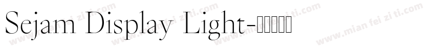 Sejam Display Light字体转换